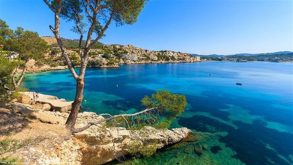Posidonia Boats - Alquiler barcos en Mallorca